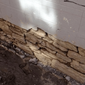 Foundation Restoration Project 1