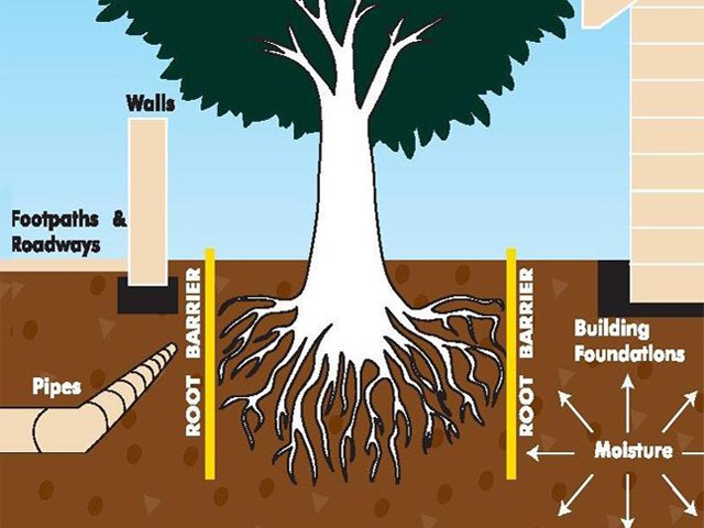 Root Barrier